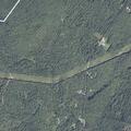 Male aged 35 vomiting near Mountain Road, Washington