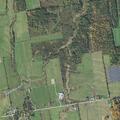 23-year-old female faints and hits head at Hinesburg Rd