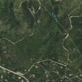 Two Siberian huskies reported missing in Deadwood