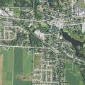 Animal complaint on South Miller Street