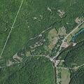 Report of juvenile runaway near Springfield Road