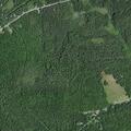 77-year-old male falls at County Route 50 address