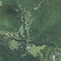 Elderly man with catheter issue in Richmond