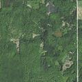 Person with possible alcohol poisoning at rural address