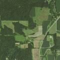 85-year-old female found with leg injury after fall