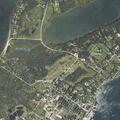 Young male has allergic reaction to shellfish in Castine