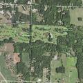 Horses trespassing on property in Bear Lake