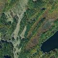 Tree blocking roadway near County Route 3