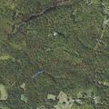 96-year-old woman with abdominal pain in West Danville