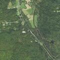 Tree blocking road on Lost River Road