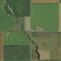 Cornfield fire near 204th Street and 299th Avenue