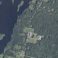 Deer struck and killed on Lakeview Drive in China