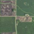 Dog aggressive toward livestock at rural property