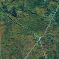Tree blocking roadway on County Road 24