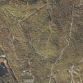 Woman falls and hits head, confused near Newry