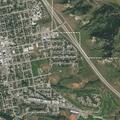 Dog owner located on State Street
