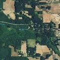 Person with back pain near Ervin Road, Philomath