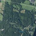 Woman has allergic reaction after bee sting in Sidney