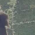 84-year-old woman falls and hits head at home
