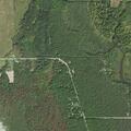 Deputies search for suspicious male near Oscoda home