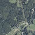 Woman fallen from horse with minor bleeding in Albion