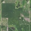 Caller reports concern for missing man in field