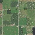 Suspicious vehicle and person near cornfield