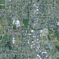 Male reported suicidal near Walker Road, Lebanon, OR