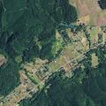 Dog bite reported at highway 34 address