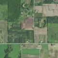 Senior bitten by dog near Highway 22
