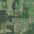 Elderly woman experiencing panic attack at Swamp Road