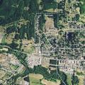 Female possibly attempted hanging near Main Street in Philomath/Pullman