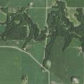Cancer patient feeling weak and dizzy near State Highway 19
