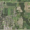Person having allergic reaction near New Prague