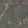 Animal complaint reported on Coughlin Road