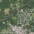 Child allergic to bee sting with arm swelling in Neillsville