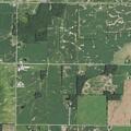 Man stung by bees near New Franken