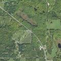 Phone ping prompts search for missing person