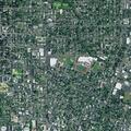 Person suffering from headache near Corvallis