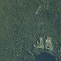 Small tree fire reported near McGrath Pond Road