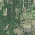 Loose pig reported on roadway in Paradise