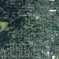 Abandoned van with dogs reported in Corvallis