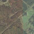 Car hits deer, fluid leak reported in Frankfort