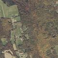 93-year-old woman immobile near Palmer Road in Thorndike