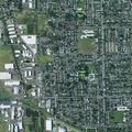 Person suffering overdose ingestion in Albany