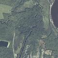 Man in underwear chases woman on rural road