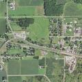Deer blocking roadway on Main Street in Auburndale