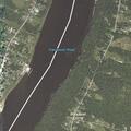 Loose dogs running on River Road in Bucksport