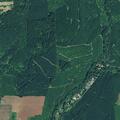 Male falls and hits head near tree farm road in scio