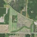 female feeling very dizzy at highway 68 address